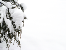 Lighthouse Winter Retreat